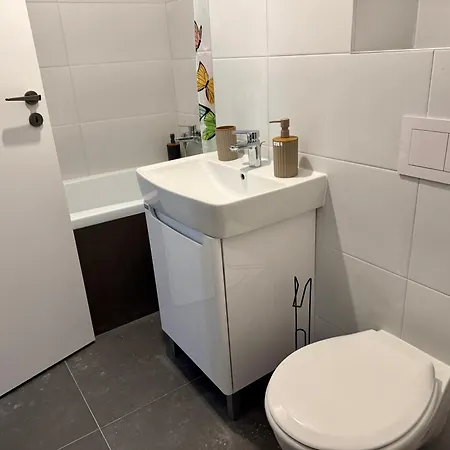 Sholiday Sky Panoramic New Building Private Parking Timişoara