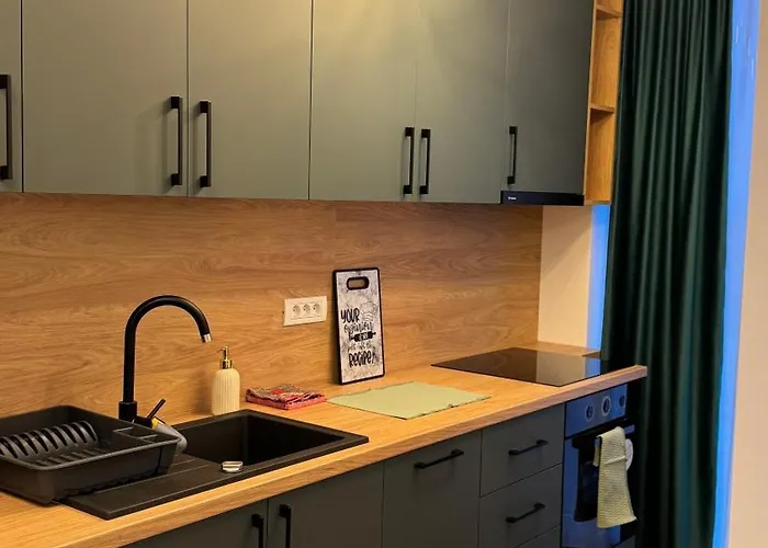 아파트 Sholiday Sky Panoramic New Building Private Parking 티미쇼아라