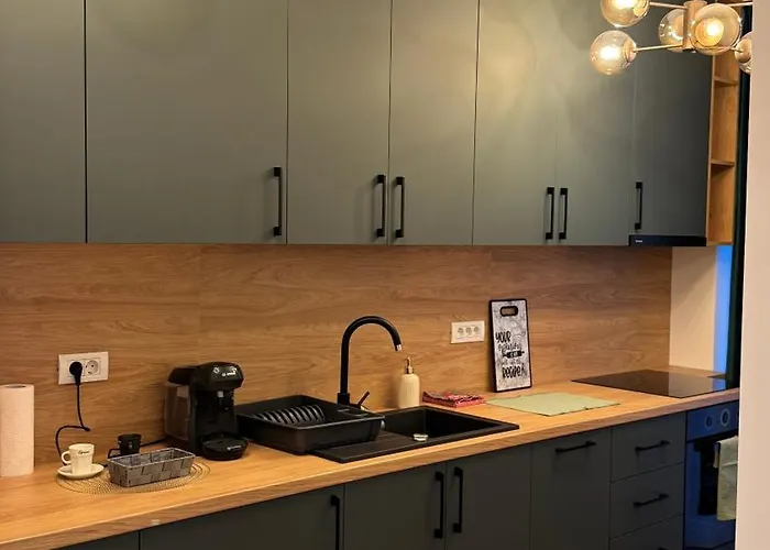 Sholiday Sky Panoramic New Building Private Parking 아파트 티미쇼아라