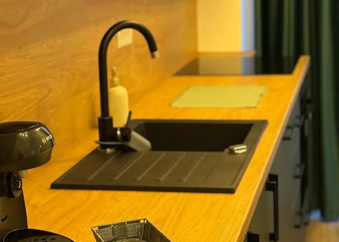 아파트 Sholiday Sky Panoramic New Building Private Parking 티미쇼아라