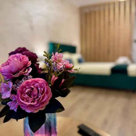 Sholiday Sky Panoramic New Building Private Parking