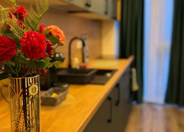 Sholiday Sky Panoramic New Building Private Parking Timişoara